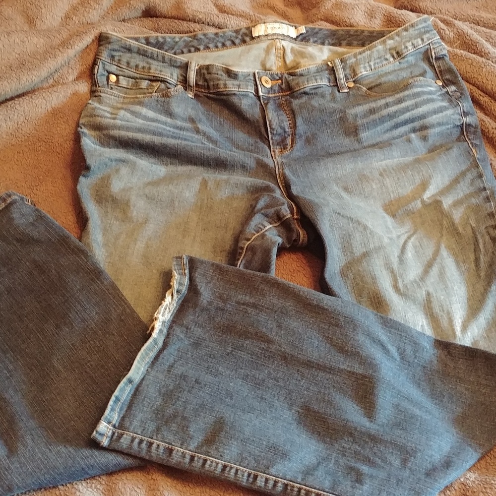 Torrid Jeans